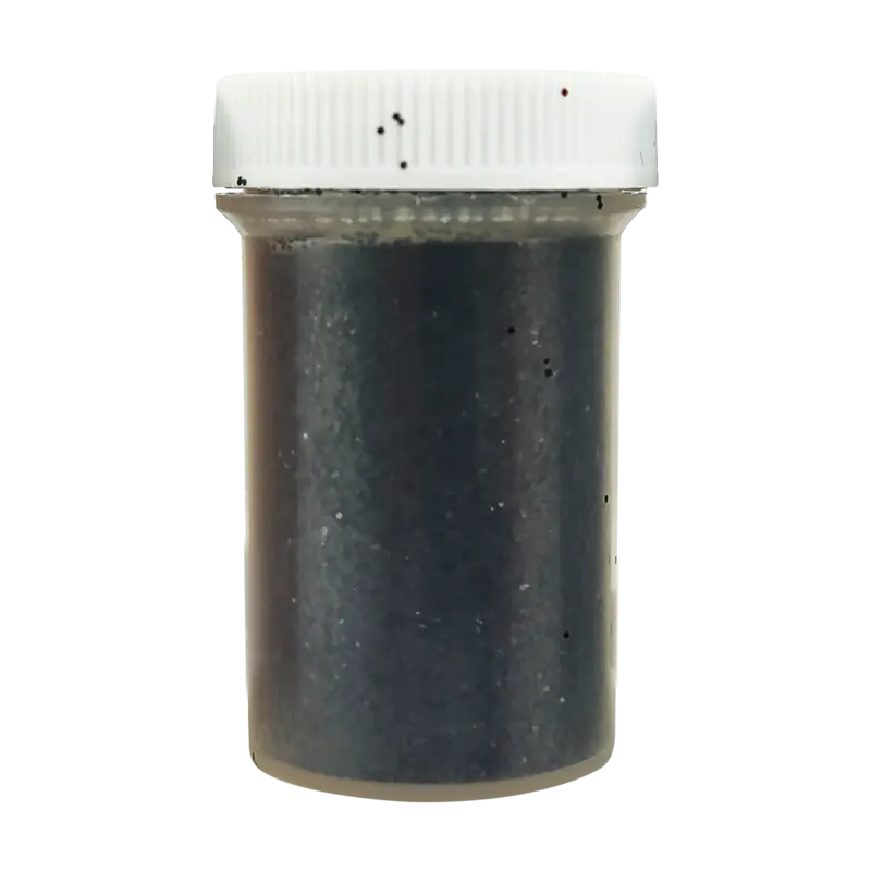 Imagen para NEGRO AZABACHE