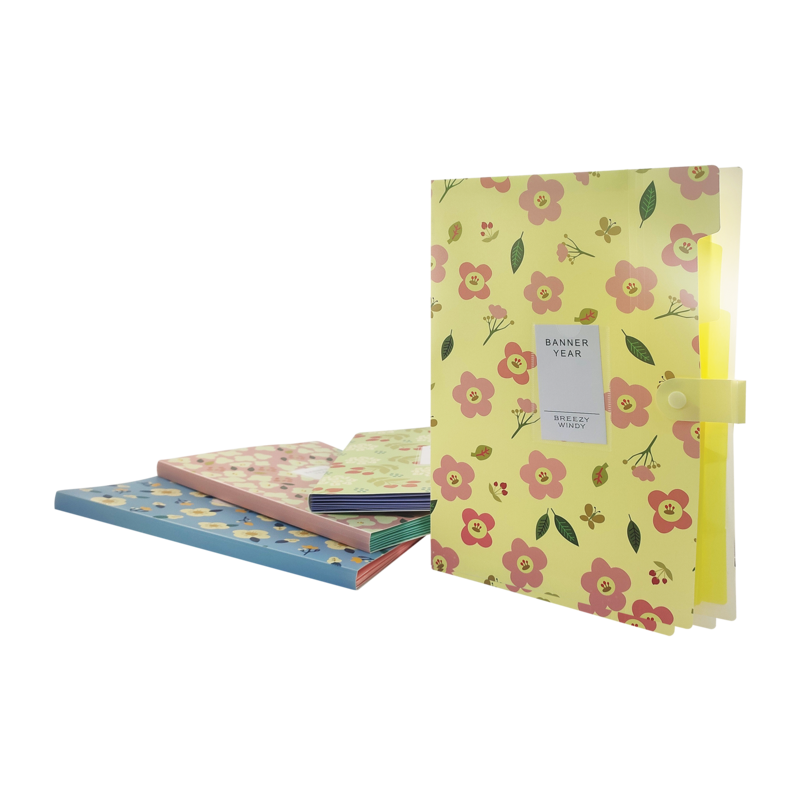 CARPETA ACORDEON PLASTICA (PE) `FK` CA/A4 BS.1PZ.5 DIV.C/LIGA CARTA/A4 DISEÑOS.SURT.