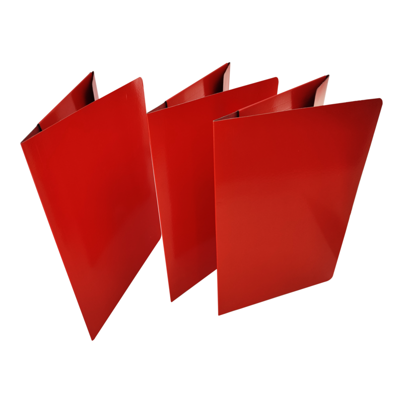 CARPETA SEGURA CARTULINA DF 